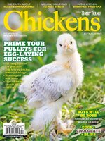 Chickens